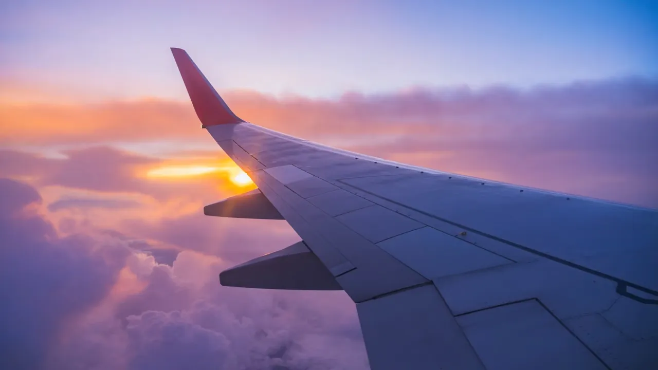Flygets gröna omställning i fokus
